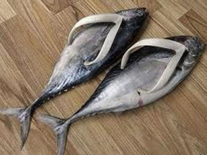 Como acabar com o cheiro do calçado