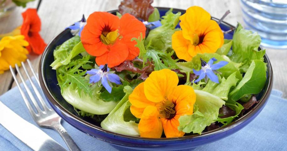 Sabiam que existem certas flores que são comestíveis?