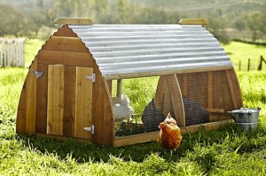 ballard-chicken-coop