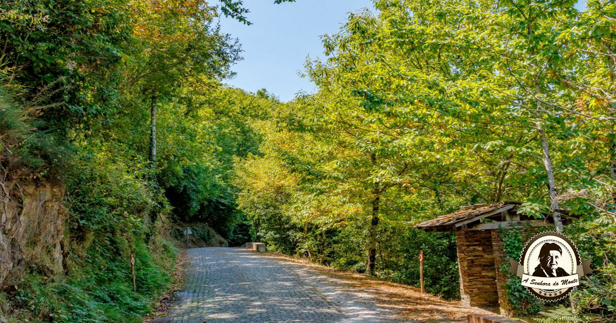 Floresta espanhola cobre 36% do país, tal como em Portugal