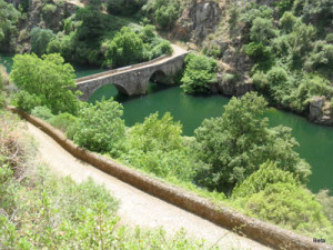 Sertã