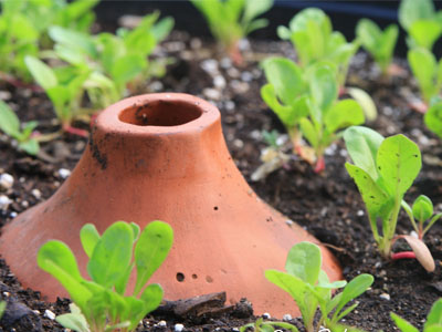 Potes de barro enterrados para irrigar as suas plantas