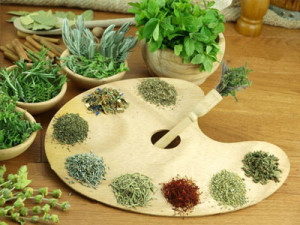 Ervas aromáticas