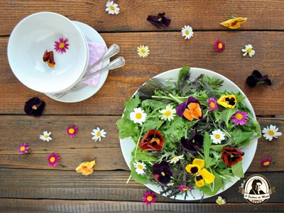 Salada de flores comestíveis