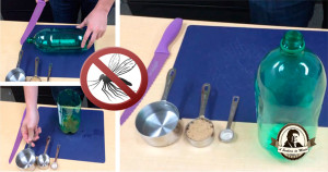 Armadilha caseira para mosquitos