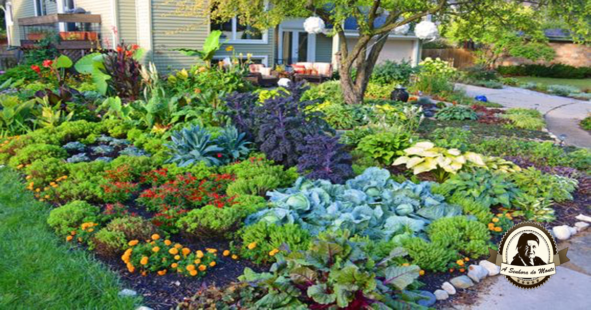 Como planear um jardim comestível