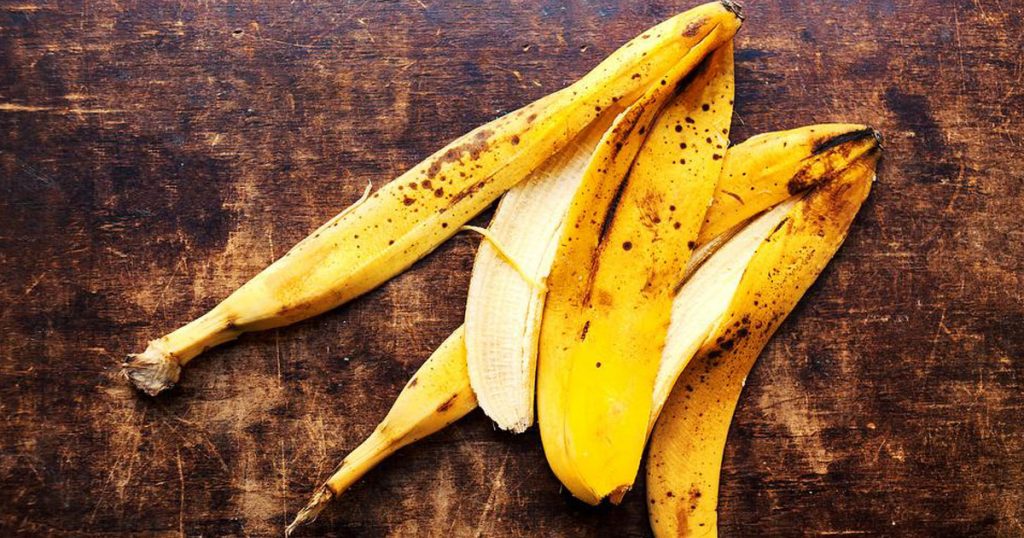 Adubo orgânico feito a partir de cascas de banana