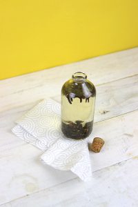 Produto caseiro de limpeza de bancadas para afastar formigas e moscas
