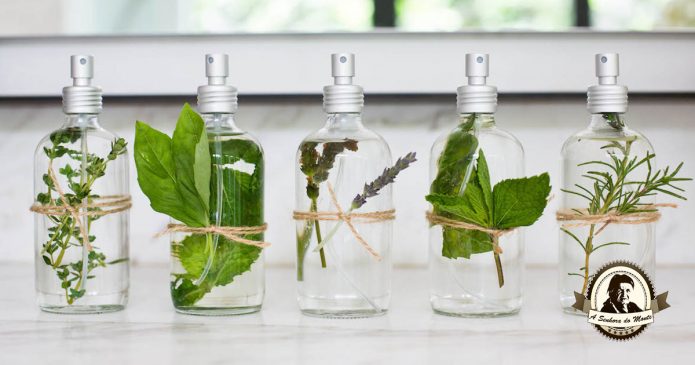 Aprenda a fazer perfumes naturais para si e para a sua casa!