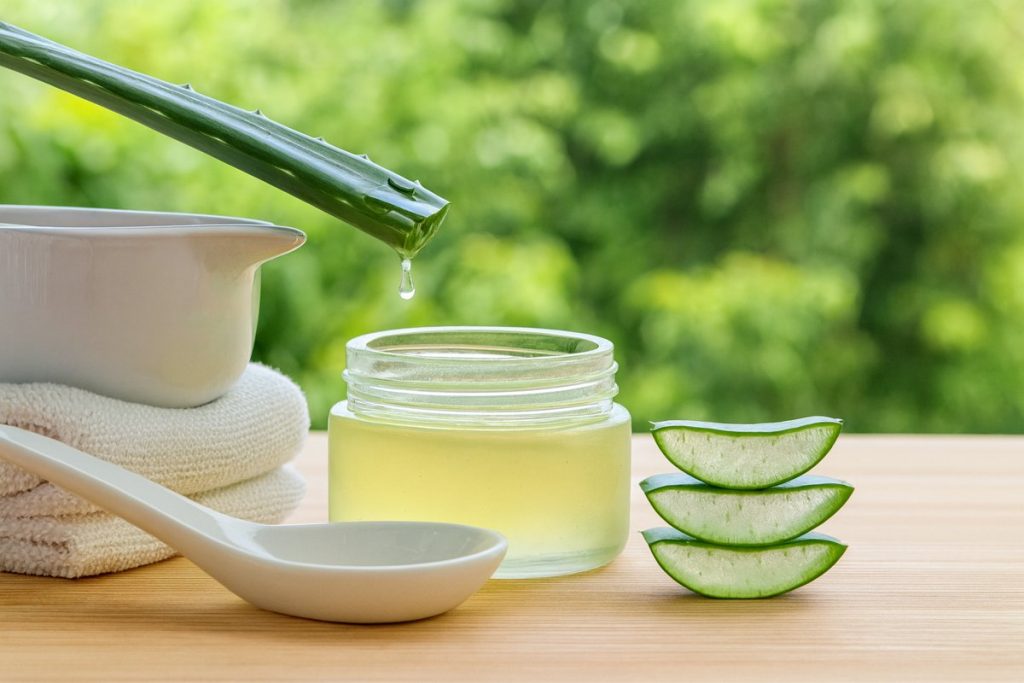 Hidrate o seu cabelo com produtos feitos de aloé vera