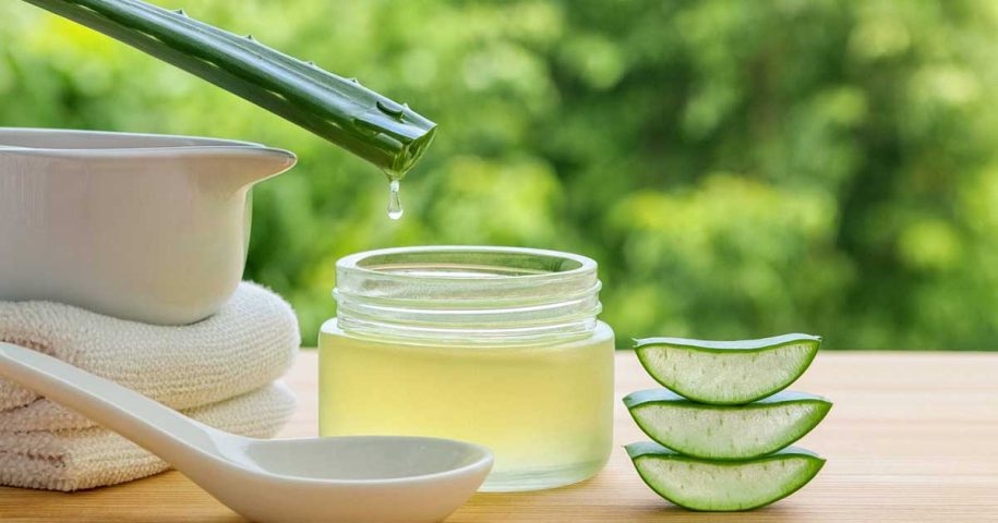 Hidrate o seu cabelo com produtos feitos de aloé vera