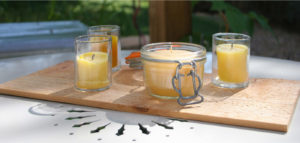 Aprenda a fazer velas de citronela para espantar os mosquitos!