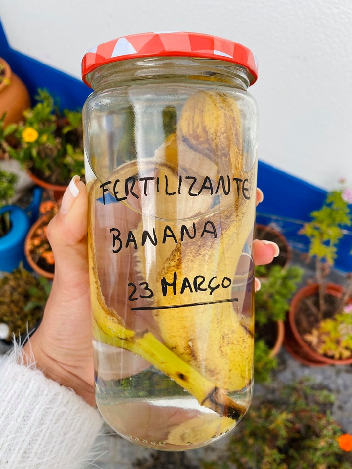 Fertilizante feito com cascas de banana