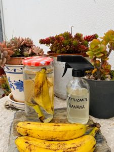 Fertilizante feito com cascas de banana