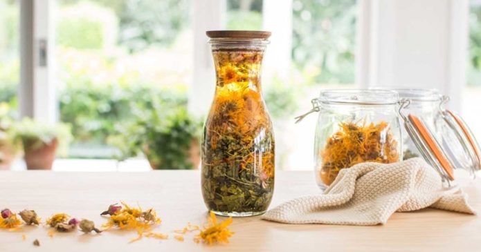 Aprenda a fazer óleo herbal de calêndulas e centelha asiática