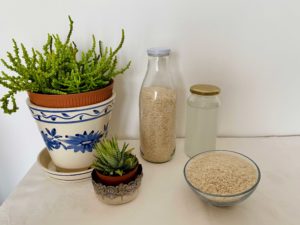 Aproveite a água de cozer arroz ou massa para fertilizar as suas plantas!