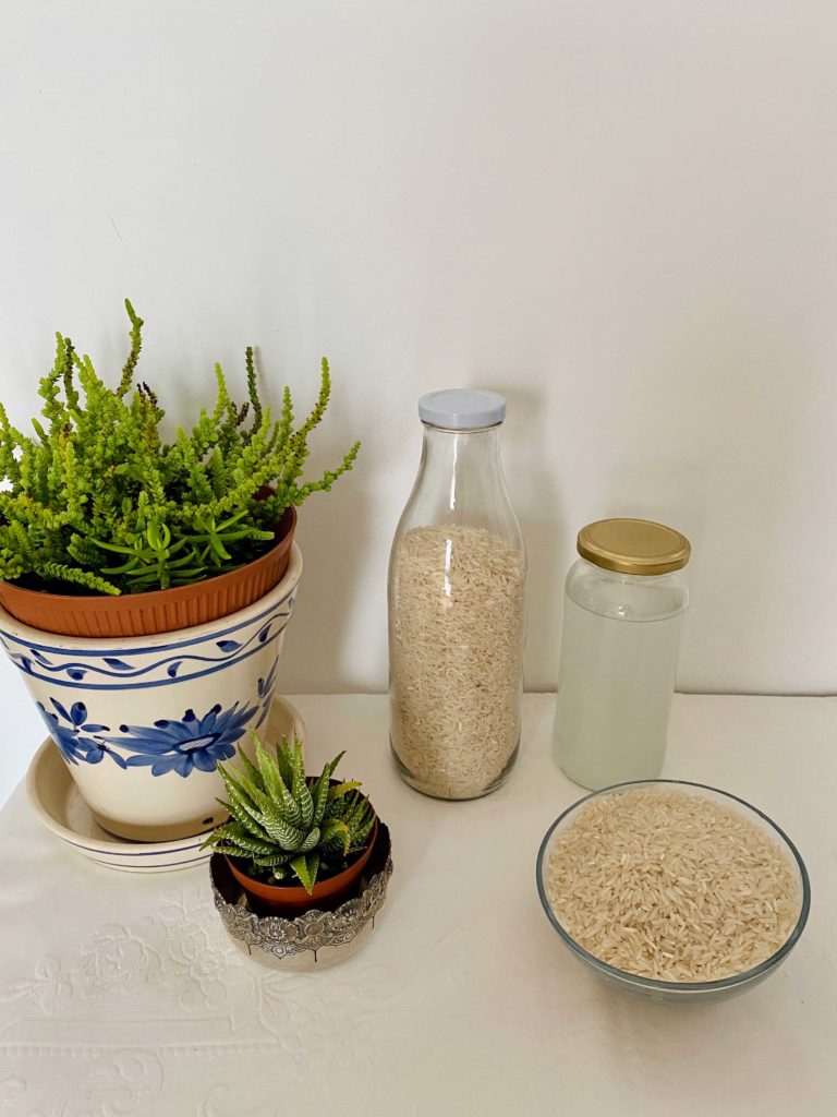 Aproveite a água de cozer arroz ou massa para fertilizar as suas plantas!
