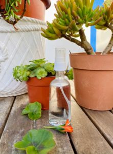 Aprenda a fazer um perfume natural para o cabelo