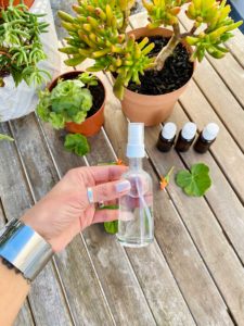 Aprenda a fazer um perfume natural para o cabelo
