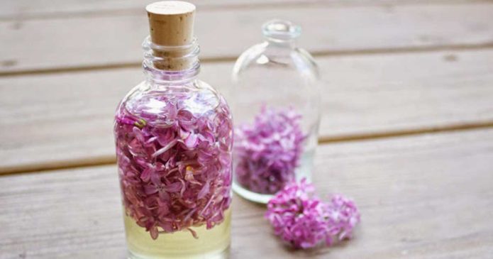 Aprenda a fazer óleo de flores de lilases para tratamentos naturais
