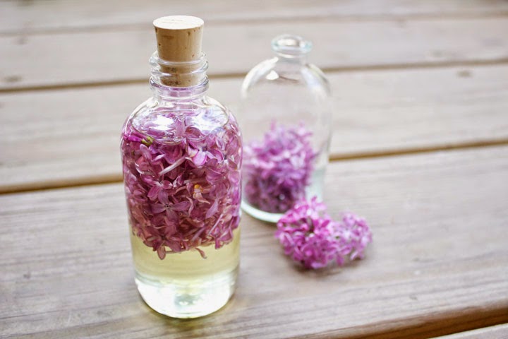 Aprenda a fazer óleo de flores de lilases para tratamentos naturais