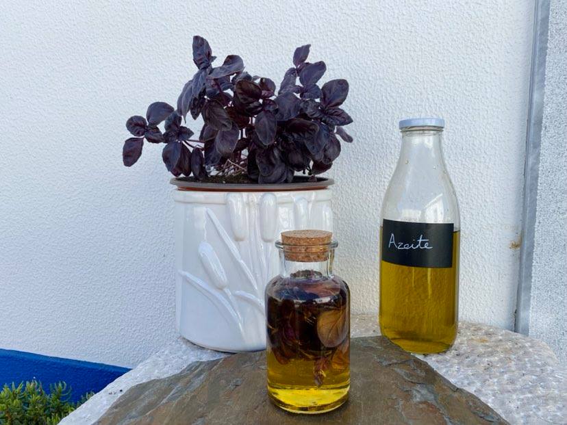 Aprenda a fazer azeite aromatizado de manjericão roxo