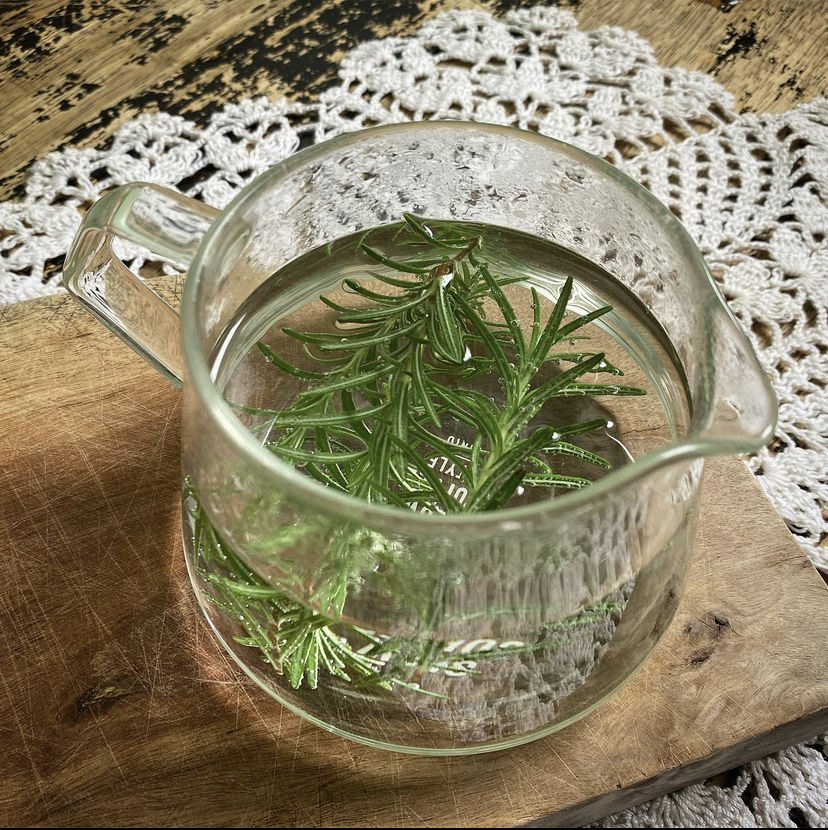 Aprenda quais são os benefícios do chá de alecrim