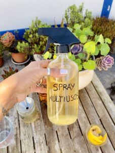 Spray multiusos feito com cascas de citrinos