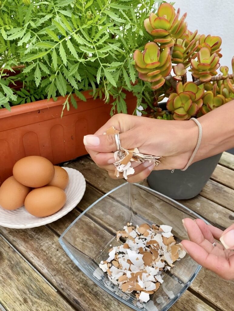 Sabia que pode fazer farinha de cascas de ovos?
