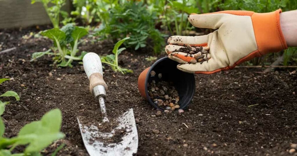 Sabia que o vinagre ajuda a germinar sementes mais rápido?