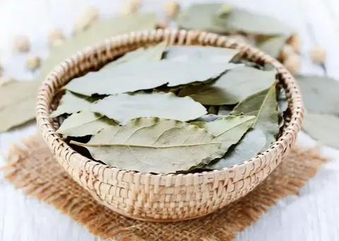 Aprenda o ritual antigo das folhas de louro debaixo da almofada