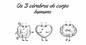 A fascinante descoberta: O Corpo humano e os seus três cérebros