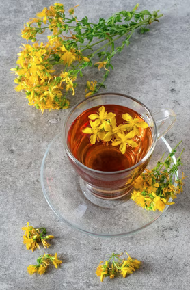 Chá da erva-de-São-João: Um remédio dos tempos antigos