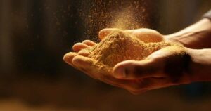Como utilizar canela para trazer boa sorte e prosperidade